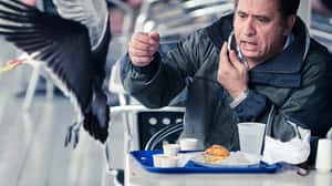 與人爭食 這些鳥是高手！