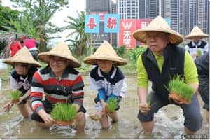 腳踏實地種菜的孩子不一樣