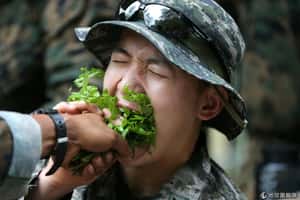 喝蛇血、生吞動物  到泰國叢林來一場生存訓練吧！