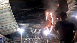 海豚跳火圈！印尼馬戲團驚駭畫面