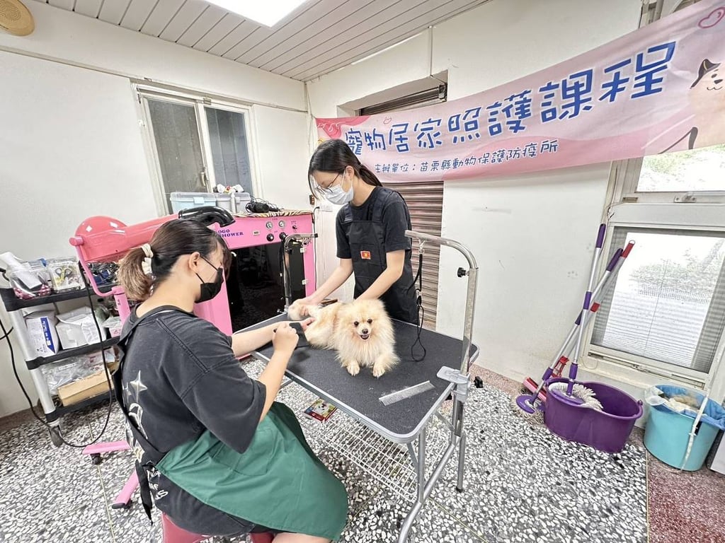 苗栗縣動保園區導入寵物美容服務　浪犬迎向幸福歸宿