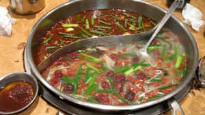 中藥材驗出重金屬和雪豹DNA   澳洲學者呼籲政府把關