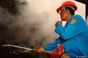 空汙持續大馬關閉學校