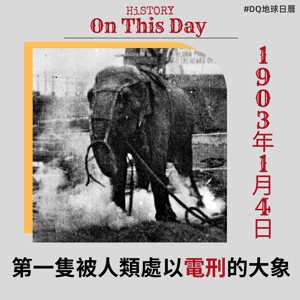 第一隻被人類處以電刑的大象，愛迪生表示：這鍋我不背