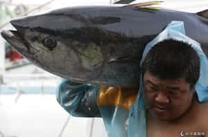 台灣非法剝削外籍漁民