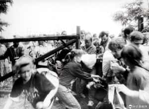 30年前，那一場改變歐洲的野餐