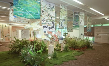 五感體驗石虎、大冠鷲、臺灣杉木香｜桃園市立圖書館限定森林特展，暑假親子行程就這個了 