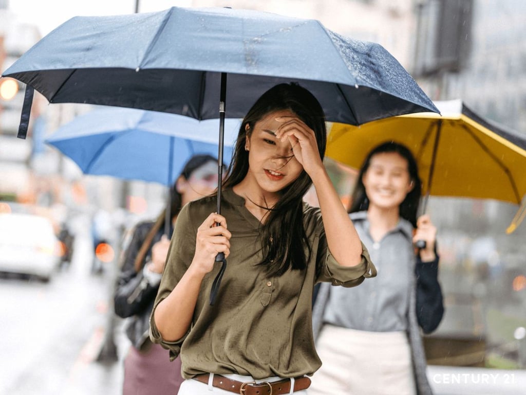 北北桃豪雨潮濕難耐　21世紀不動產提醒防潮除濕保居家健康