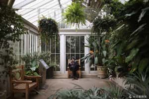 這樣的春天最養眼   英國皇家植物園給你滿滿的春日美景