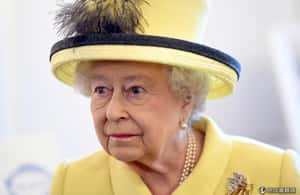 天鵝、海豚通通歸她管 英國女王的奇妙特權