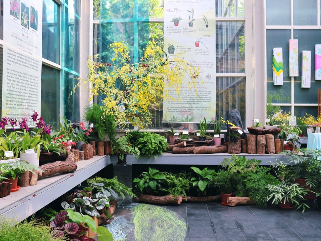 國慶連假科博館《花舞四季—文心蘭展》賞花！