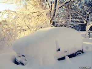 積雪量破百   紐約西部遭暴雪冰封