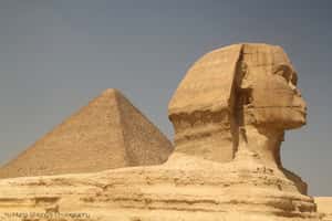 【埃及旅遊文化講座】埃及法老圖特摩斯的夢