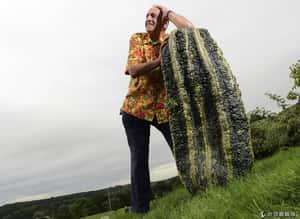 研究：種花草有益身體健康