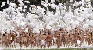 增設裸體海灘vs保育稀有鳥類  比利時政府陷兩難