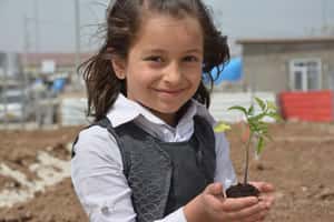 英國雀兒喜花展  重現敘利亞難民的花園