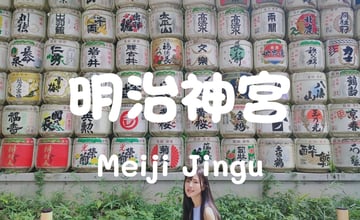 【日本遊】日本東京必去景點之一~明治神宮/明治神宮漫步記：當森林與神社交織，給靈魂一場淨化
