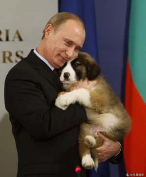 為什麼世界各國喜歡動物外交？