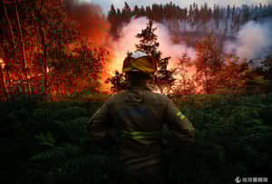 葡萄牙森林大火  罹難人數破60