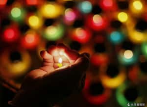 地球24小時：11/22/14