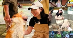 [高雄景點]野森動物學校｜不像動物園的動物園！20種以上動物近距離互動一次滿足，完整一日遊攻略