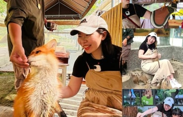 [高雄景點]野森動物學校｜不像動物園的動物園！20種以上動物近距離互動一次滿足，完整一日遊攻略