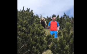 轉角遇到熊：義大利男童有備而來 不怕有bear來