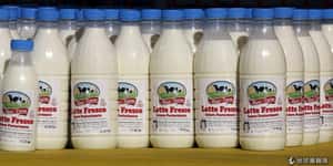 牛奶湖時代來臨？歐盟取消牛奶配額限制