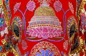 【地球 24小時】02/07  披著華麗紅布的牠