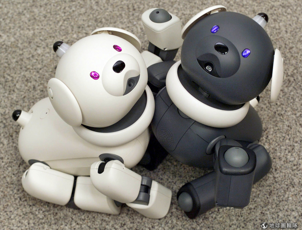 Re: [閒聊] 能夠接受機械寵物嗎?