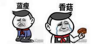 2016中國網路十大流行語