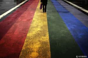 不到一周就離婚 澳法院駁回同志婚姻法