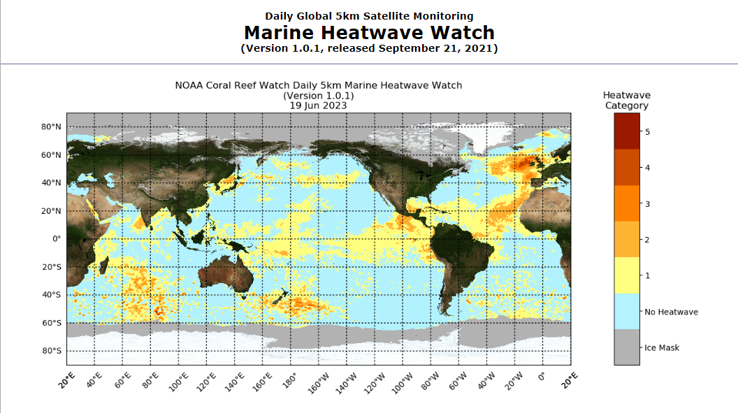 墨西哥灣大量魚群死亡　科學家：全球海洋異常溫暖　