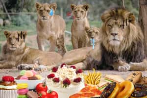 愛吃澱粉的站出來！遠古基因揭人類熱愛碳水化合物的秘密