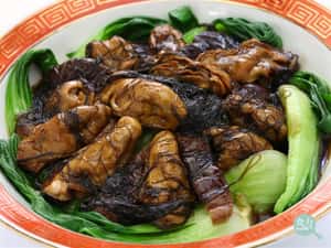 你知道你常吃的髮菜曾經是來自沙漠的嗎？