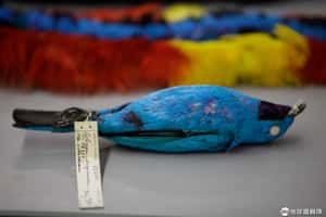 美國摩天大樓殺數億候鳥 芝加哥居冠