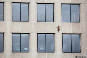 美國小浣熊的城市歷險記 圓滿落幕