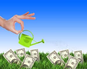 「草皮換現金」 美國科羅拉多州提出省水妙招法案