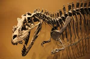 最流行家居裝飾  千萬台幣有找