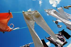 不敵時代演變  澳洲國寶級產品被轉售