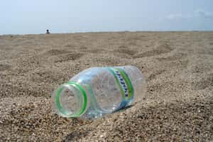 最新發現！科學家找到能分解塑膠的細菌