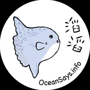 滔滔 Ocean says