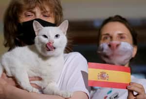 【地球 24小時】07/02 我宣布，會晉級四強的是——