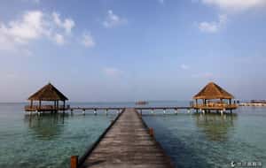 副總統涉炸彈殺害總統  度假天堂馬爾地夫深陷政治鬥爭疑雲