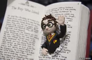 跟著哈利波特學法律  印度法學院選修課大爆滿