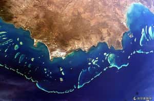 美景瀕危  澳洲大堡礁持續惡化