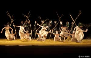 林懷民獲頒美國舞蹈終身成就獎