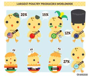 哪一國最愛吃家禽?   全球禽肉消費排行榜