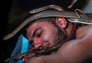 【地球 24小時】12/30 意想不到的按摩師