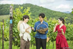 【地球放映室】人生縮影不過如此   電影「葡萄的眼淚」淬鍊出人生的幸福滋味